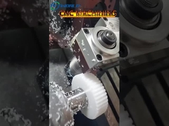 কাস্টমাইজড প্লাস্টিকের গিয়ার